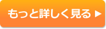 もっと詳しく見る